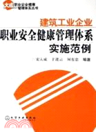 大成職業安全健康管理體系叢書-建築工業企業職業安全健康管理體系實施範例（簡體書）