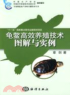 龜鱉高效養殖技術圖解與實例（簡體書）