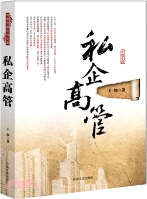 私企高管（簡體書）