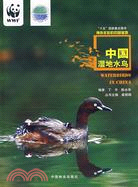 中國濕地水鳥（簡體書）