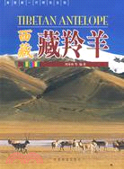 西藏藏羚羊（簡體書）