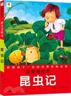 昆蟲記：影響孩子一生的世界經典名著(拼音美繪本)（簡體書）