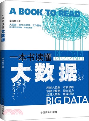 一本書讀懂大數據（簡體書）