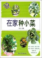 在家種小菜（簡體書）