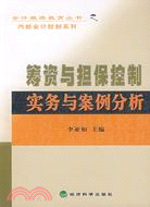 籌資與擔保控制實務與案例分析（簡體書）