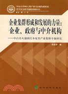 企業集群形成和發展的力量：企業、政府與中介機構－中山市大涌鎮紅木家具產業集群個案研究（簡體書）