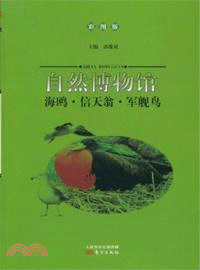 自然博物館：海鷗．信天翁．軍艦鳥(彩圖版)（簡體書）