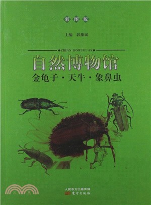 自然博物館：金龜子．天牛．象鼻蟲(彩圖版)（簡體書）