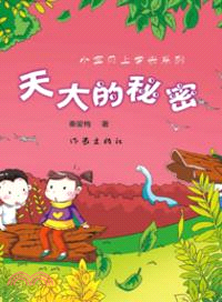 天大的秘密（簡體書）