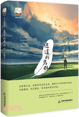 迷途的鳥群（簡體書）