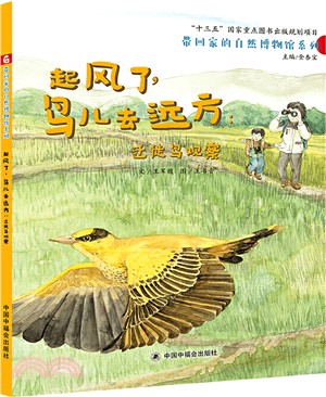 起風了鳥兒去遠方：遷徙鳥觀察(精)（簡體書）