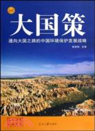 大國策-通向大國之路的中國國家安全戰略（簡體書）