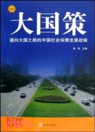 大國策-通向大國之路的中國社會保障發展戰略（簡體書）