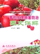 蕃茄生理病害防治圖文詳解（簡體書）