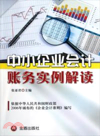 中小企業會計財務實例解讀（簡體書）