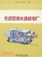 先進型沸水堆核電廠(簡體書)
