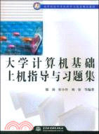 大學電腦基礎上機指導與習題集 (21世紀高等院校電腦科學與技術規劃教材)（簡體書）