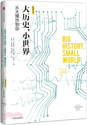 大歷史，小世界：從大爆炸到你（簡體書）