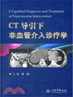 CT導引下非血管介入診療學（簡體書）