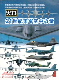 21世紀美軍空中力量（簡體書）