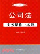 公司法實務操作一本通（簡體書）
