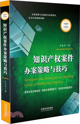 智慧財產權案件辦案策略與技巧（簡體書）