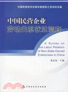 中國民營企業勞動關係狀況調查（簡體書）