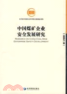 中國煤礦企業安全發展研究（簡體書）