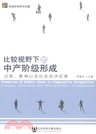 比較視野下的中產階級形成：過程、影響以及社會經濟後果（簡體書）