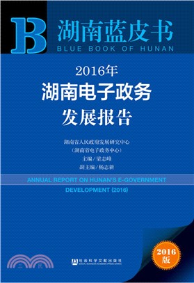 2016年湖南電子政務發展報告（簡體書）