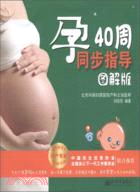 孕40周同步指導(圖解版)（簡體書）