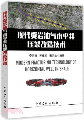 現代葉岩油氣水準井壓裂改造技術（簡體書）