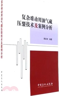 複雜難動用油氣藏壓裂技術及案例分析（簡體書）