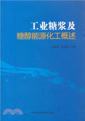 工業糖漿及糖醇能源化工概述（簡體書）