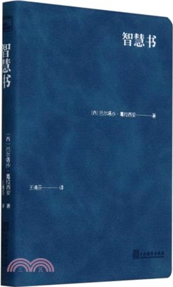 智慧書（簡體書）