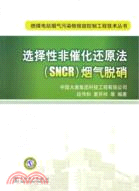 選擇性非催化還原法(SNCR)煙氣脫硝（簡體書）