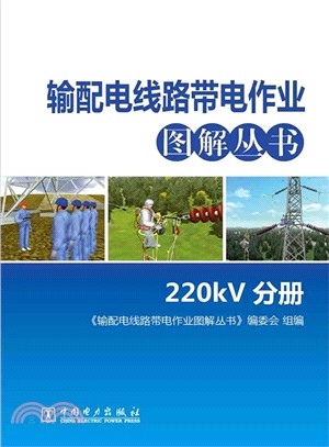輸配電線路帶電作業圖解叢書(220kV分冊)（簡體書）
