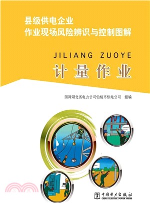 縣級供電企業作業現場風險辨識與控制圖解：計量作業（簡體書）