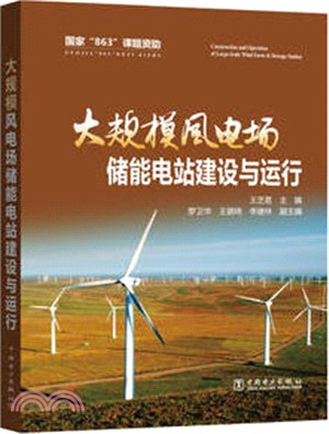 大規模風電場儲能電站建設與運行（簡體書）