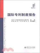 國際專利制度報告（簡體書）