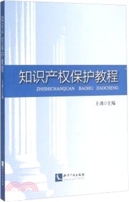 智慧財產權保護教程（簡體書）