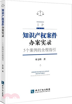 知識產權案件辦案實錄（簡體書）