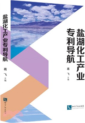 鹽湖化工產業專利導航（簡體書）