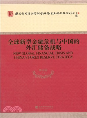 全球新型金融危機與中國的外匯儲備戰略（簡體書）