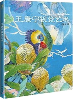 王康寧視覺藝術（簡體書）