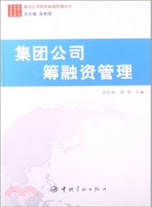 集團公司財務金融管理叢書：集團公司籌融資管理（簡體書）