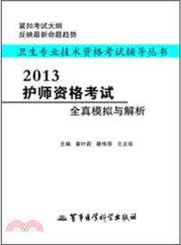 2013護師資格考試全真模擬與解析（簡體書）