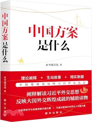 中國方案是什麼（簡體書）