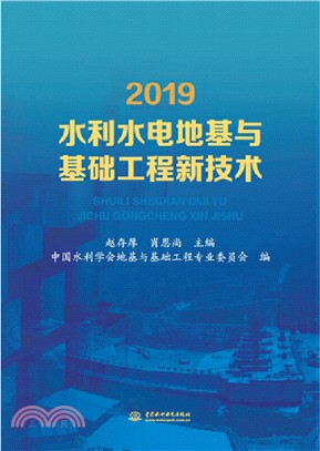 2019水利水電地基與基礎工程新技術（簡體書）