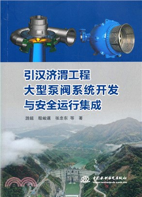 引漢濟渭工程大型泵閥系統開發與安全運行集成（簡體書）